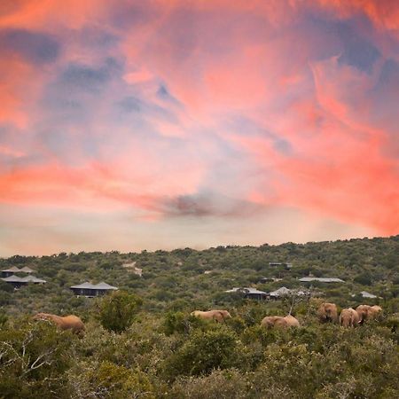 Kwandwe Private Game Reserve - Ecca Lodge 그레이엄즈타운 외부 사진