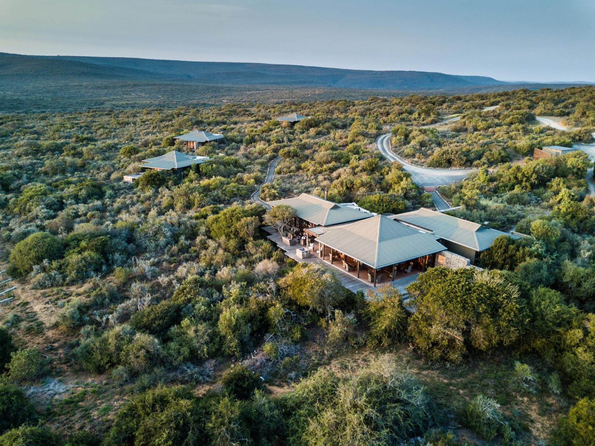 Kwandwe Private Game Reserve - Ecca Lodge 그레이엄즈타운 외부 사진